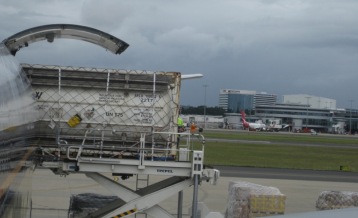 747 Freighter Unloading
